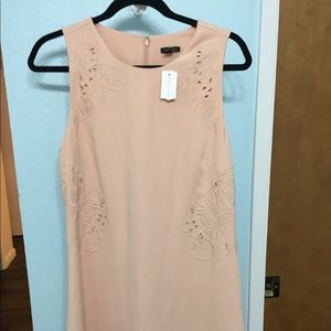 Ann Taylor Floral Design Dress